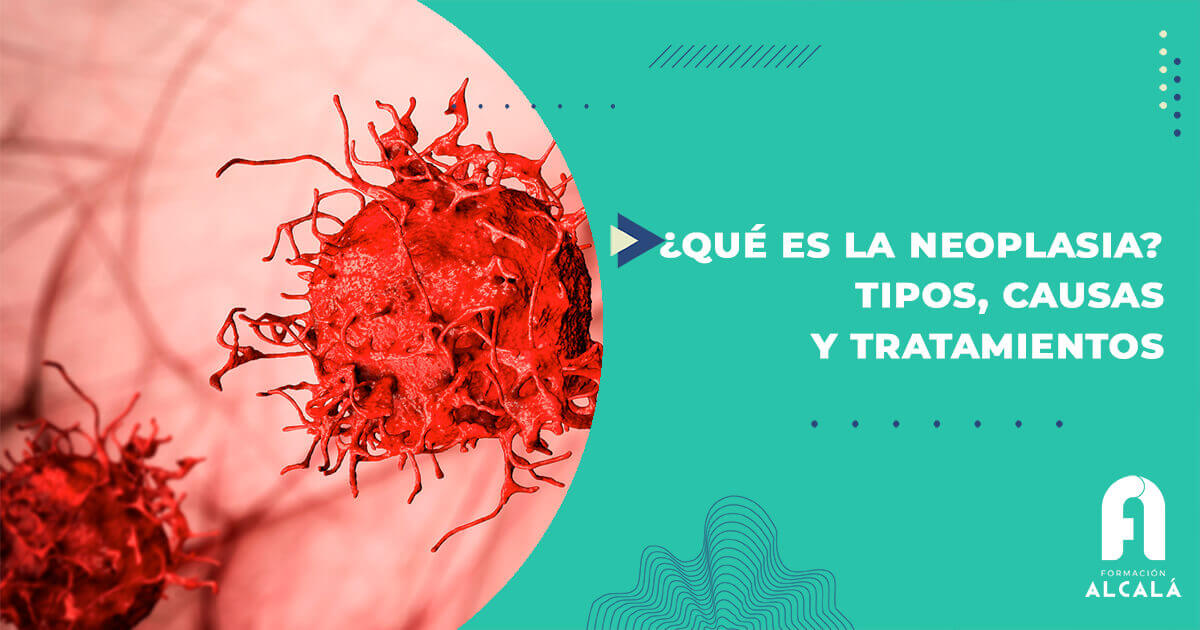 Qué es la Neoplasia Formación Alcalá